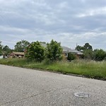 Tall Grass/Weeds at 181 Hawthorne Dr Charles